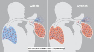 SpiroTiger® - proporcja CO2