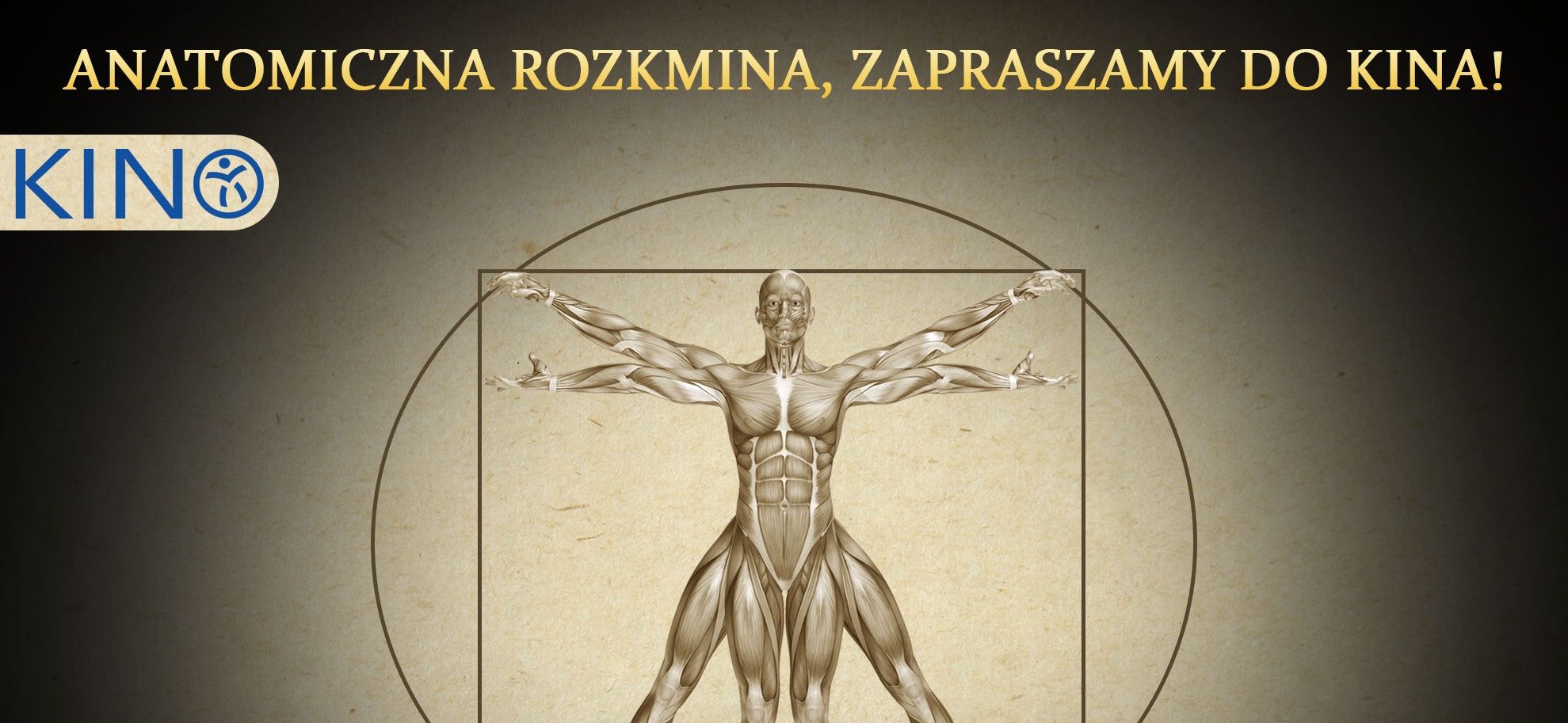 Kurs - Anatomiczna rozkmina – zapraszamy do kina – „Tułów – sekcyjna zagadka”